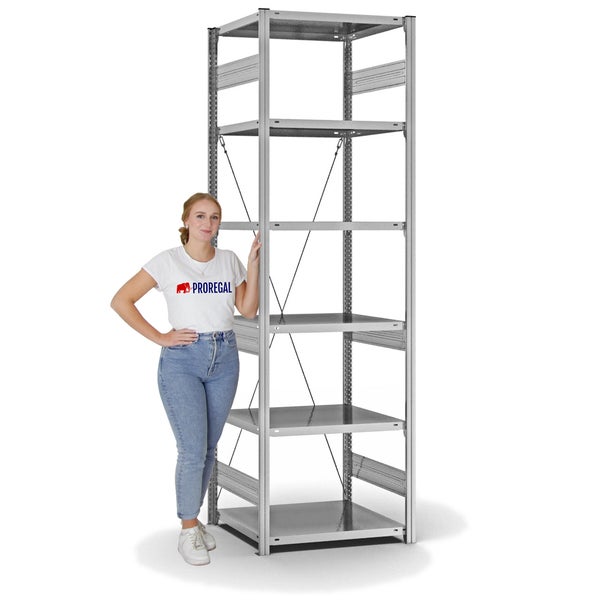 PROREGAL Fachbodenregal Stecksystem T-Profil Medium-Duty Grundregal HxBxT 250 x 75 x 60 cm 6 Ebenen Fachlast 240 kg Einseitig Nutzbar Verzinkt