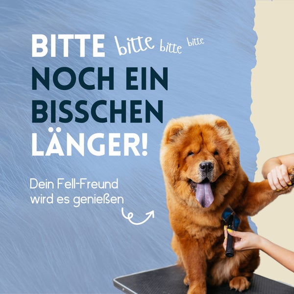 nimo® Fell Pflegespray Kokos für Hunde und Katzen • verleiht dem Fell Glanz und pflegt es