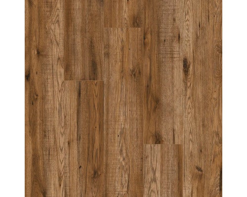 Laminat 10.0 Hickory Georgia