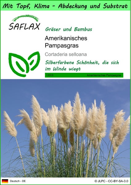 SAFLAX Garden to go - Amerikanisches Pampasgras - Cortaderia selloana - 200 Samen - Mit Topf, Klima - Deckel und Anzuchtsubstrat
