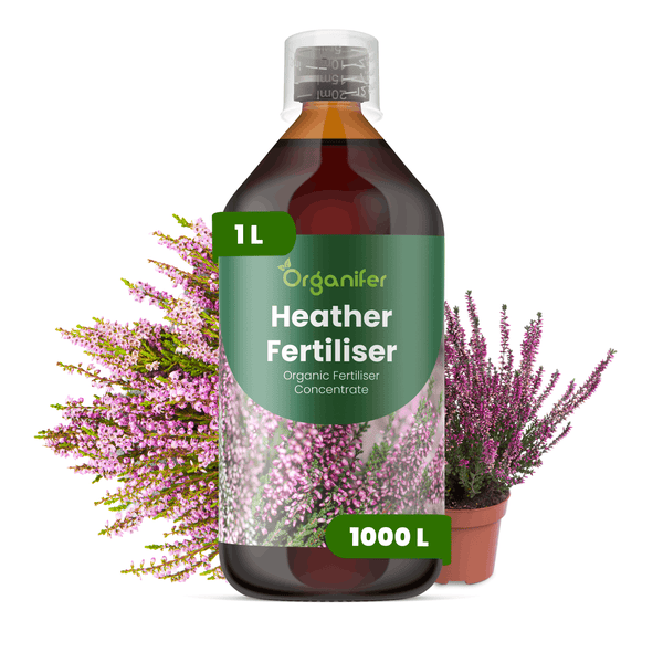 Organifer Heidendünger, organisches Düngerkonzentrat, braune 1 Liter Flasche mit Dosierkappe.