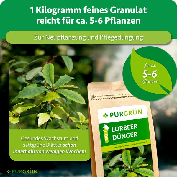 Purgrün Lorbeer Dünger in nachhaltiger Verpackung zur Förderung gesunden Wachstums für circa fünf bis sechs Pflanzen.