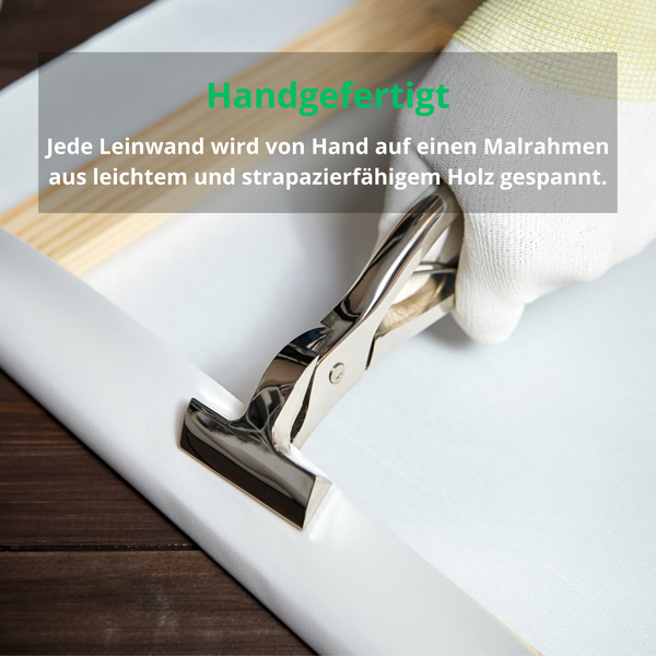 Leinwandbild Wald Natur Modern Bilder Wohnzimmer 100X70 cm