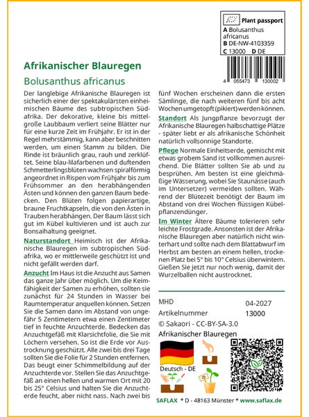 SAFLAX  - Afrikanischer Blauregen - Bolusanthus africanus - 15 Samen - Mit keimfreiem Anzuchtsubstrat