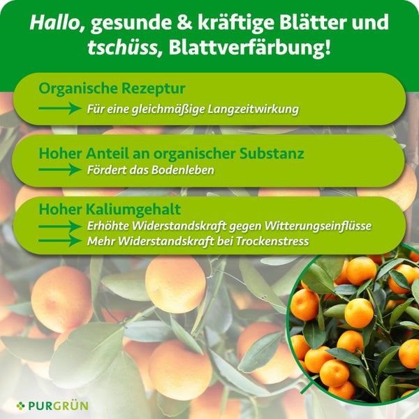 Produktinformation für Purgrün Zitruspflanzendünger mit Angaben zu organischer Rezeptur, Bodenleben und Kaliumgehalt für gesunde Pflanzen.
