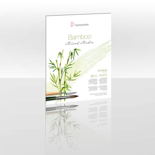 Hahnemühle Bamboo Mixed Media Zeichenblock aus Bambusfasern und Baumwolle, 265 Gramm pro Quadratmeter, 42 mal 56 Zentimeter, 25 Blatt.