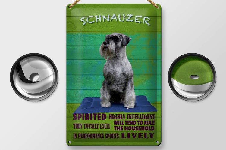 Blechschild Spruch 20x30cm Schnauzer Hund highly inelligent