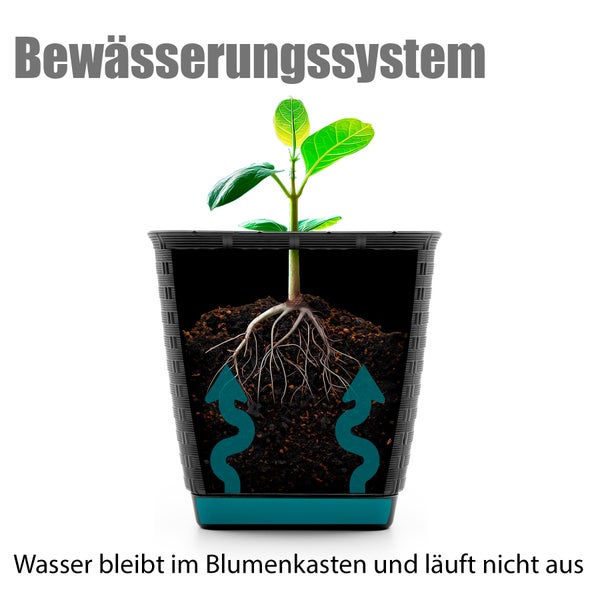 BigDean Blumenkasten Balkon Rattan Optik in Anthrazit 60 cm Länge aus robustem & UV-beständigem Kunststoff – Balkonkasten mit Metall Halterung & Bewässungssystem – Made in Europe