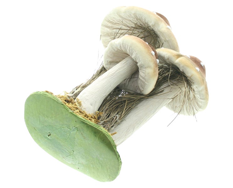 Deko Pilzgruppe aus Kunststoff und Naturmaterialien auf einem runden Sockel fuer Herbstdekoration