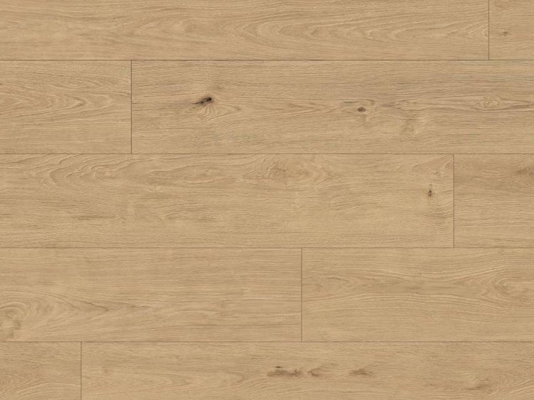 Laminatboden in Eichenoptik mit authentischer Holzmaserung und Astlöchern für eine natürliche Wohnraumgestaltung.