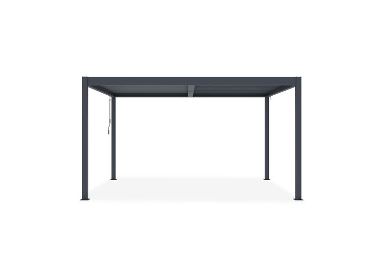 Blütenzweig mit weissen Blüten