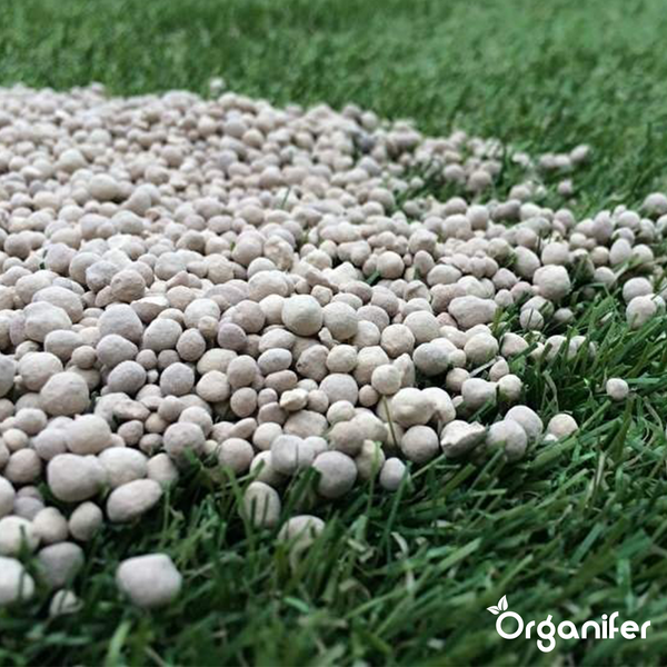 Kalkdünger mit Magnesium (Große Tasche 600 kg für 12.000 m2) - Organifer