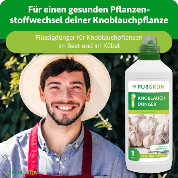Purgrün Bio Knoblauchdünger, 1 Liter Flasche für circa 100 Liter Gießwasser, geeignet für Knoblauchpflanzen im Beet und Kübel.