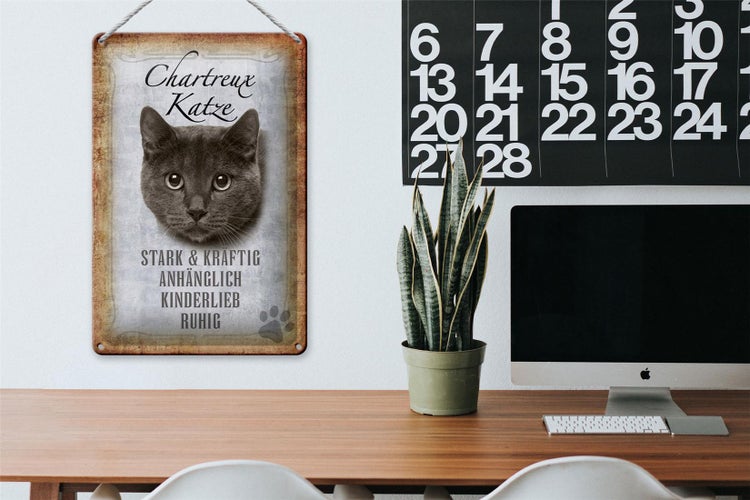 Blechschild Spruch 20x30cm Chartreux Katze stark Schild