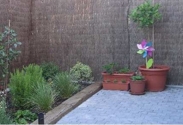 Gartenszene mit Pflanzen, Töpfen und Sichtschutzzaun