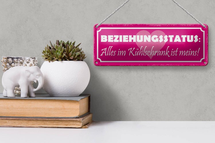 Blechschild Spruch 27x10cm Beziehungsstatus Kühlschrank Dekoration