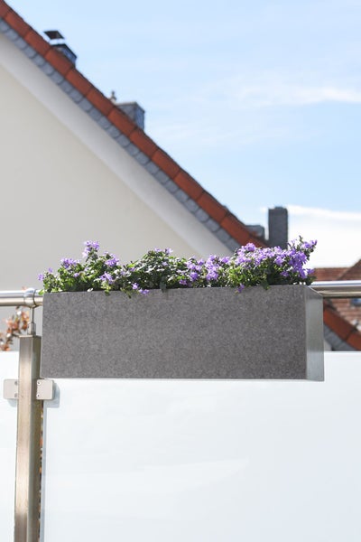 Rechteckiger Balkonkasten in Steinoptik mit lila Blumen an einem Edelstahlgeländer mit Glaselement.