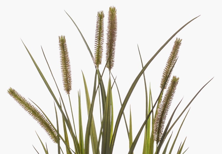 Künstlicher, grüner Hänge-Farn mit dichten, langen Wedeln für die Innendekoration.