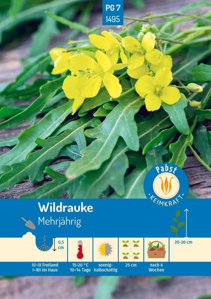 Premium Blumensamen-Set von Deine Gartenwelt, 10 Sorten. Gentechnikfrei, ungebeizt und samenfest. Hergestellt in Deutschland.
