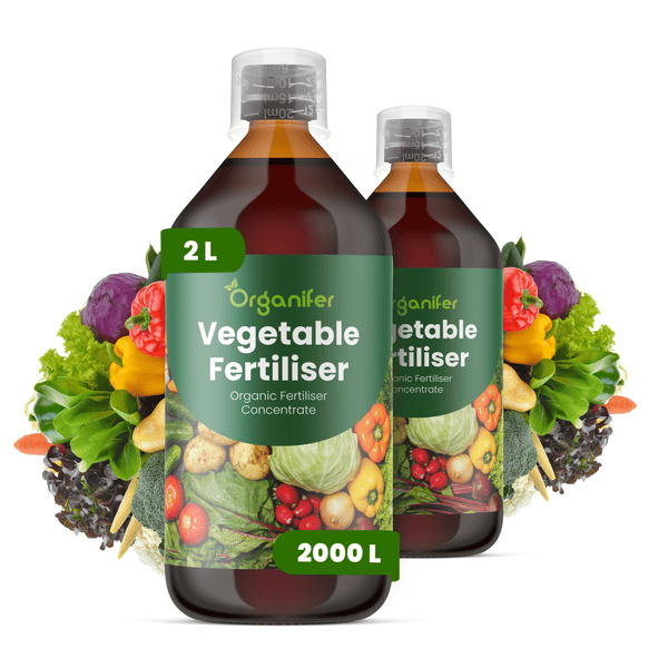 Organifer Bio-Gemüsedünger Konzentrat, zwei 2-Liter-Flaschen für circa 2000 Liter Düngerlösung, mit Abbildungen von frischem Gemüse.