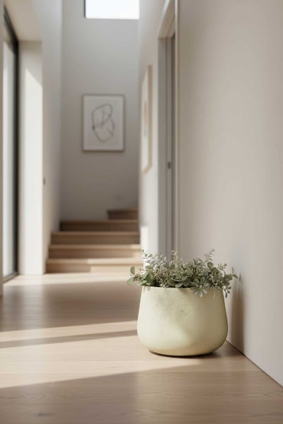 Moderner runder Pflanztopf mit grüner Pflanze in einem hellen, minimalistischen Flur mit Holzfußboden und Treppe.