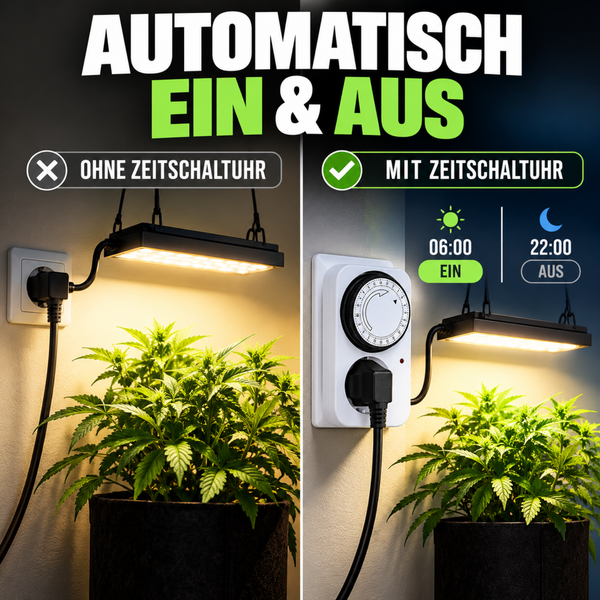 Vergleich einer Pflanzenlampe ohne und mit Zeitschaltuhr für die automatisierte Beleuchtung von Pflanzen.