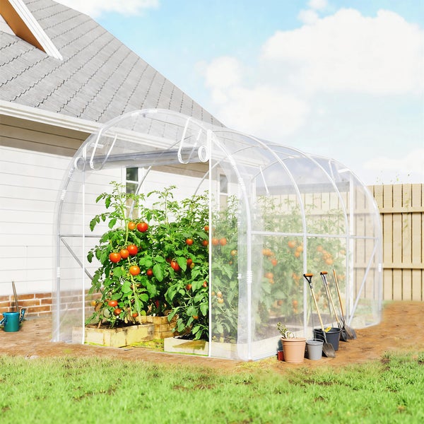 Folientunnel Gewächshaus im Garten neben einem Haus mit Tomatenpflanzen im Inneren.