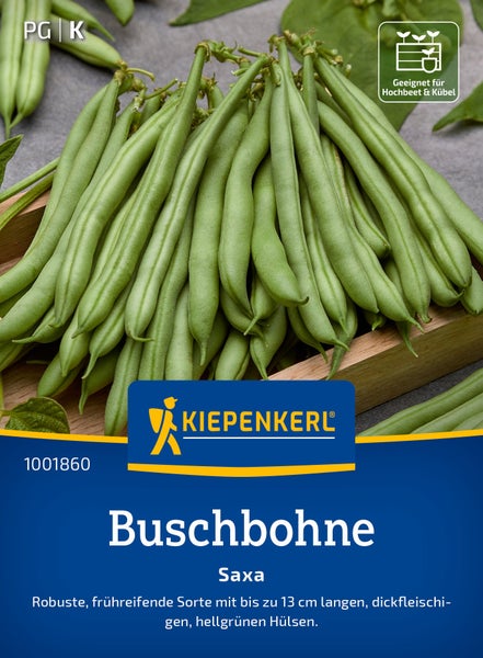 Kiepenkerl Saatgut Buschbohne Saxa für den Anbau im Hochbeet und Kübel
