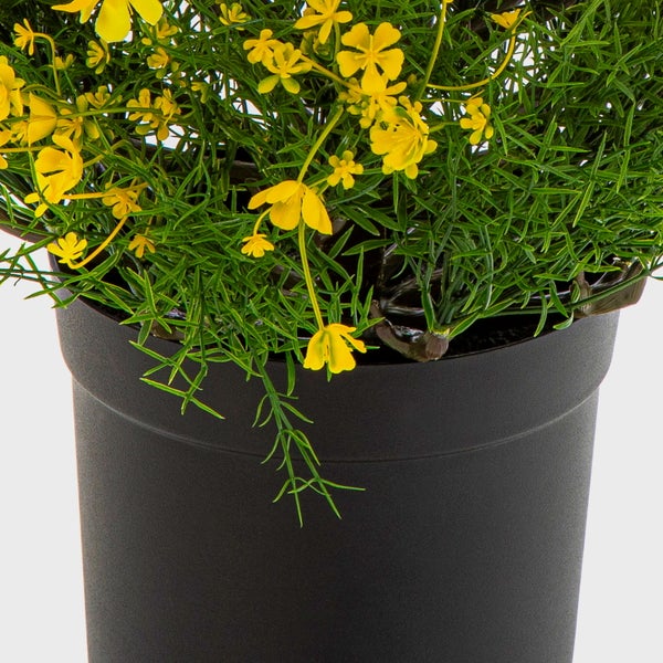 Künstliche Pflanze mit gelben Blüten und feinem grünem Laub in einem schwarzen Kunststofftopf.
