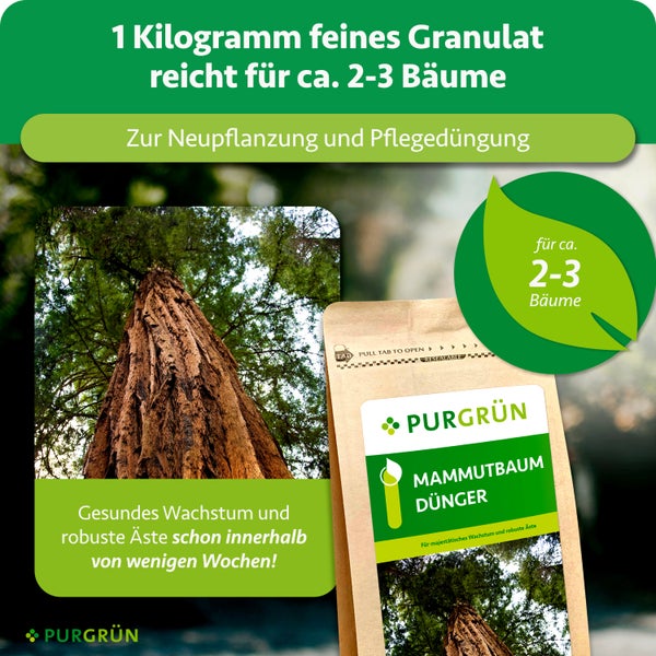 Purgrün Mammutbaum Dünger, 1 Kilogramm Granulat für circa 2 bis 3 Bäume, geeignet für Neupflanzung und Pflegedüngung, Purgrün Logo.