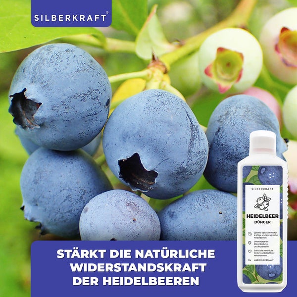 SILBERKRAFT Heidelbeer Dünger – Für Heidelbeeren & Beerensträucher – 1 Liter