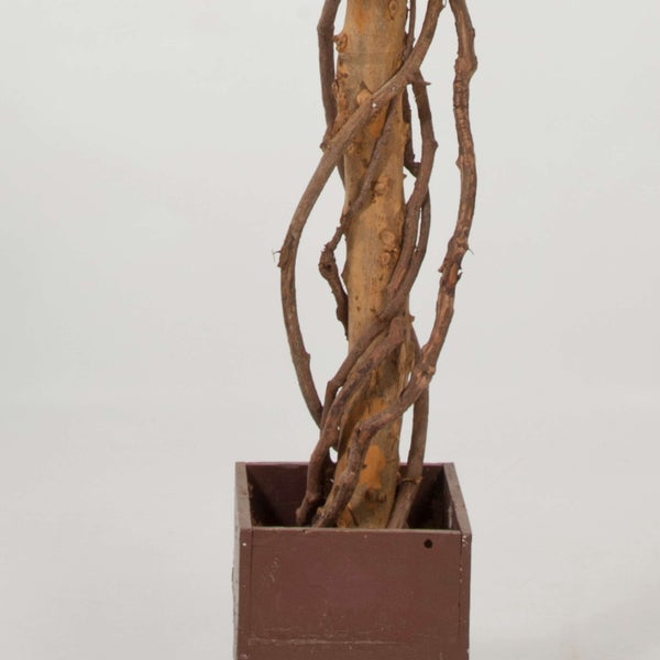 Künstlicher Baumstamm mit gewundenen Lianen in einem quadratischen Pflanzkasten aus Holz.