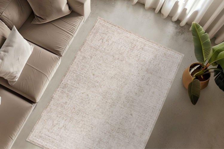 Wohnzimmer mit beigem Vintage Teppich, Sofa und Zimmerpflanze in der Draufsicht.