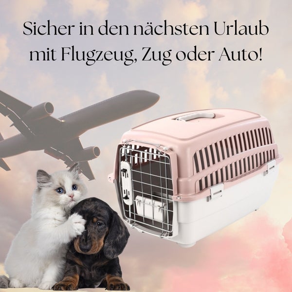 Transportbox IATA Flugbox Flugzeug Transport Auto Box Hunde Katzen Gr. S