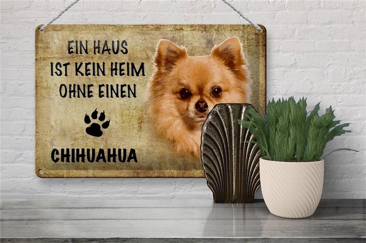 Blechschild Spruch 30x20cm Chihuahua Hund ohne kein Heim