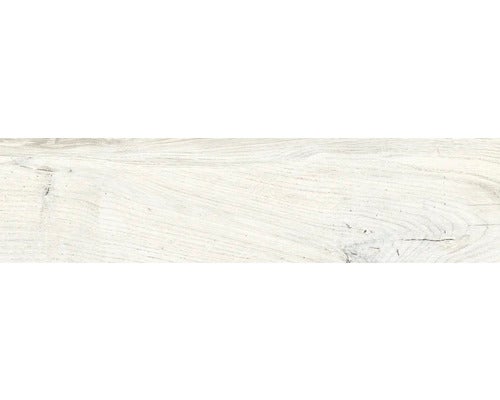 Wand- und Bodenfliese Aretino ivory 15x61 cm