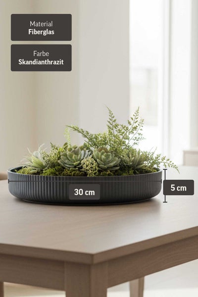 Runde Pflanzschale aus Fiberglas, Skandianthrazit, Durchmesser 30 Zentimeter, Höhe 5 Zentimeter, bepflanzt mit Sukkulenten und Farnen.