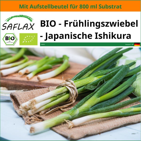 SAFLAX Garden in the bag - BIO - Frühlingszwiebel - Japanische Ishikura - Allium fistulosum - 150 Samen - Mit Anzuchtsubstrat im praktischen, selbst aufstellenden Beutel