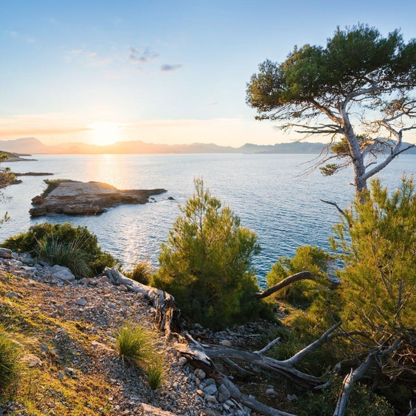 Küstenlandschaft mit Felsen, Bäumen und Meerblick im Sonnenlicht