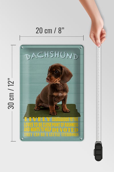 Blechschild Spruch 20x30cm Dachshund Hund lively devoted