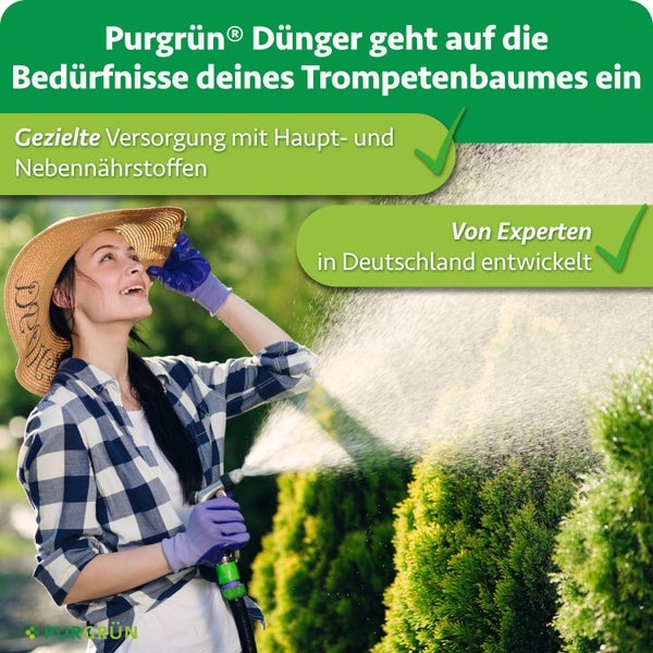 Frau gießt im Garten einen Trompetenbaum mit einem Purgrün Dünger für gezielte Versorgung mit Nährstoffen entwickelt von Experten in Deutschland.