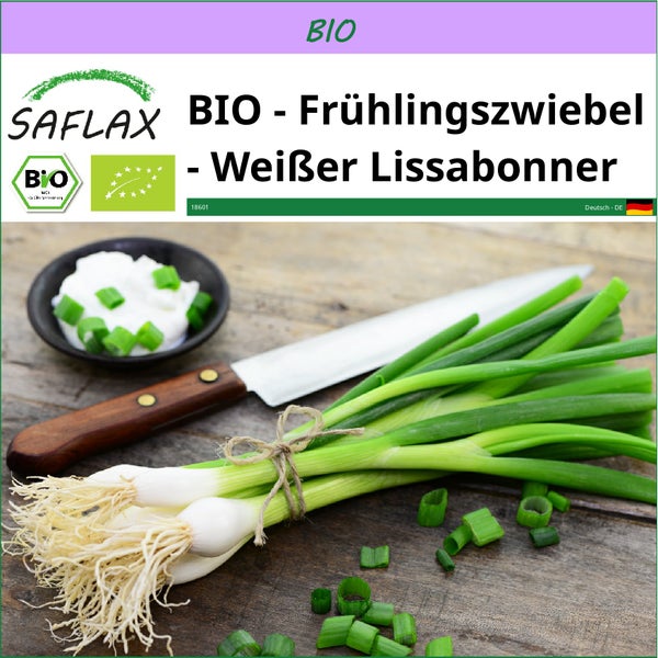 SAFLAX  - BIO - Frühlingszwiebel - Weißer Lissabonner - Allium cepa - 150 Samen