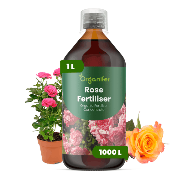 Organifer Bio Rosendünger Konzentrat 1 Liter für 1000 Liter.