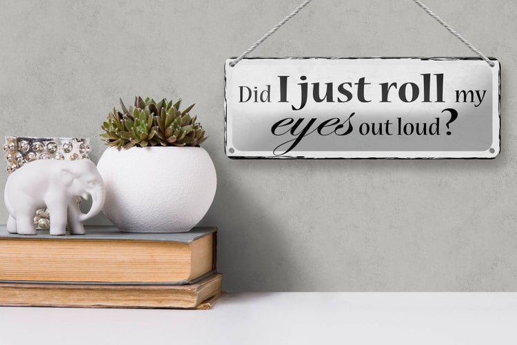Blechschild Spruch 27x10cm did i just roll my eyes out loud Dekoration