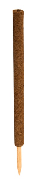 Pflanzstab Kokos 80 cm Monstera Rankhilfe Rankstab Stab Moosstab Pflanzenstab Kokosstab für Pflanzen aus natürlicher Kokosfaser verlängerbar