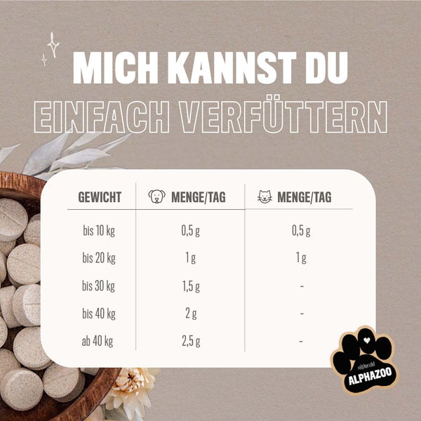 ALPHAZOO Grünlippmuschelpulver 100g für Hunde und Katzen I Vollfett Grünlippmuschel