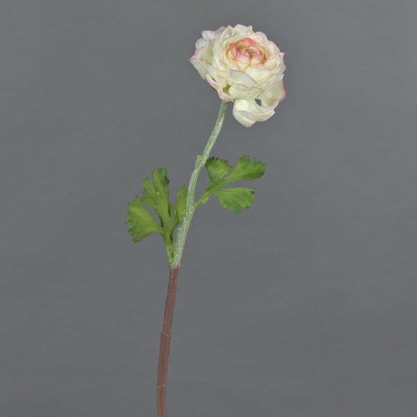 Künstliche Ranunkel mit einer cremeweißen Blüte mit rosa Rand und grünen Blättern.