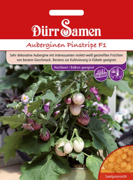 Samenpackung Auberginen Pinstripe F1 von Dürr Samen. Abbildung einer Pflanze mit gestreiften Früchten. Geeignet für Hochbeet und Balkon.