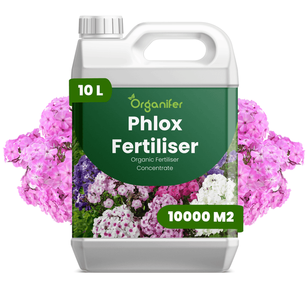 Organifer Phlox Dünger, organisches Düngerkonzentrat im 10 Liter Kanister, ausreichend für 10000 Quadratmeter.