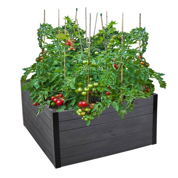 Hochbeet mit Tomatenpflanzen und Bambusstäben